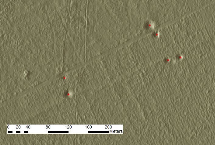 Figure 2: Digital terrain model showing paired bomb craters near a forest road in the Forêt Domaniale de la Londe-Rouvray (Lower Seine valley). These are likely to reflect attacks on German vehicles by fighter-bombers conducting ‘armed reconnaissance’ missions (Data courtesy of Office National des Forêts).