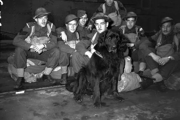 Royal Rifles of Canada aboard HMCS Prince Robert