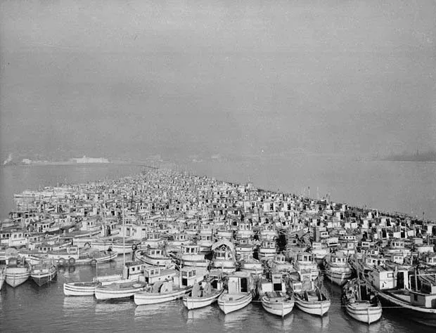 Fishermen's Reserve rounding up Japanese-Canadian fishing vessels