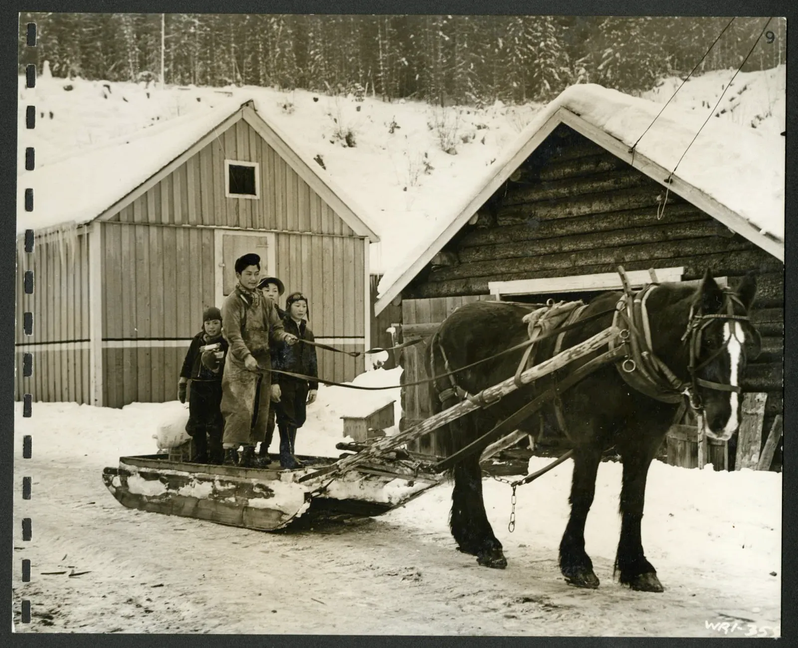 Groceries are delivered in Japanese camps, and children ride on the delivery sleigh