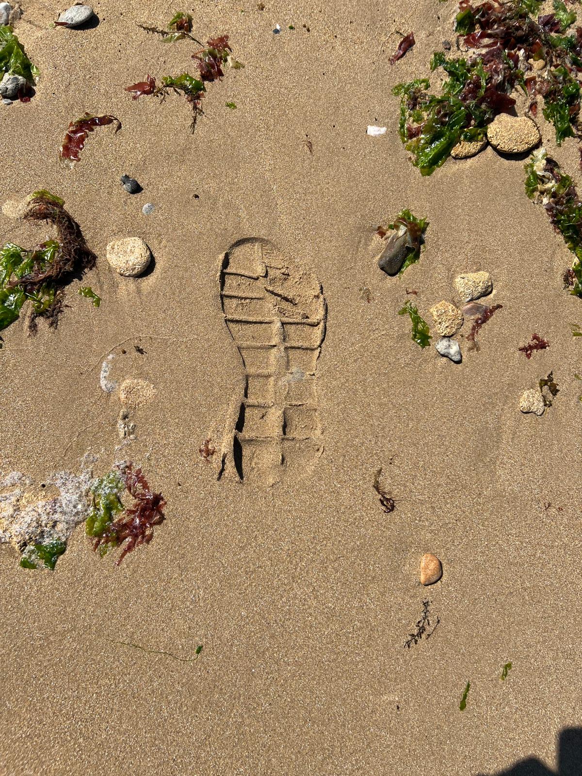 Juno Beach — where Earl Olmsted came ashore on 6 June 1944.